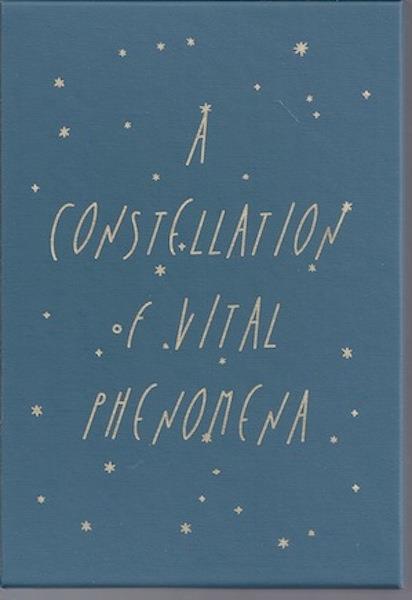 Image for A Constellation of Vital Phenomena: A Novel, Slipcase