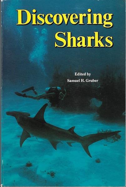 Image for Discovering Sharks