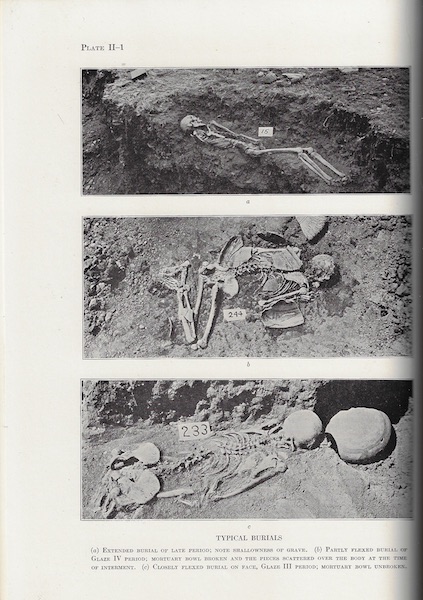 Image for The Indians of Pecos Pueblo, A Study of Their Skeletal Remains